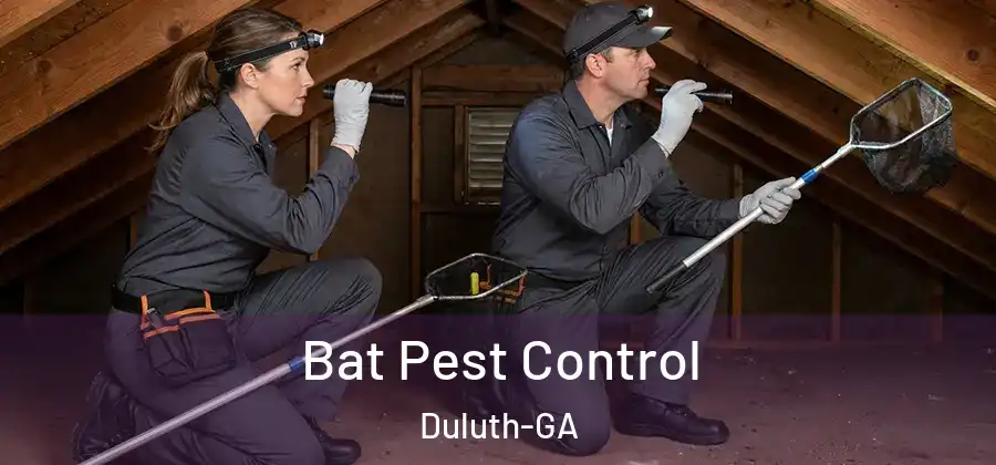 Bat Pest Control Duluth-GA