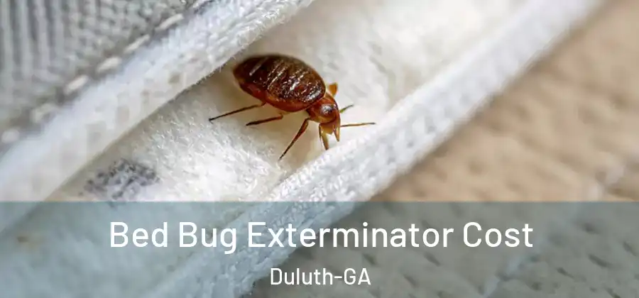  Bed Bug Exterminator Cost Duluth-GA