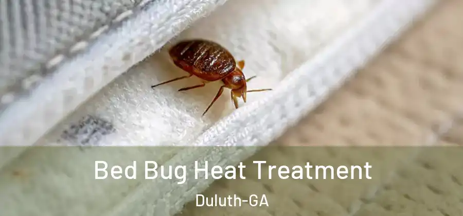  Bed Bug Heat Treatment Duluth-GA