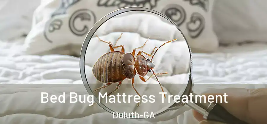Bed Bug Mattress Treatment Duluth-GA