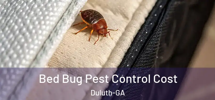  Bed Bug Pest Control Cost Duluth-GA