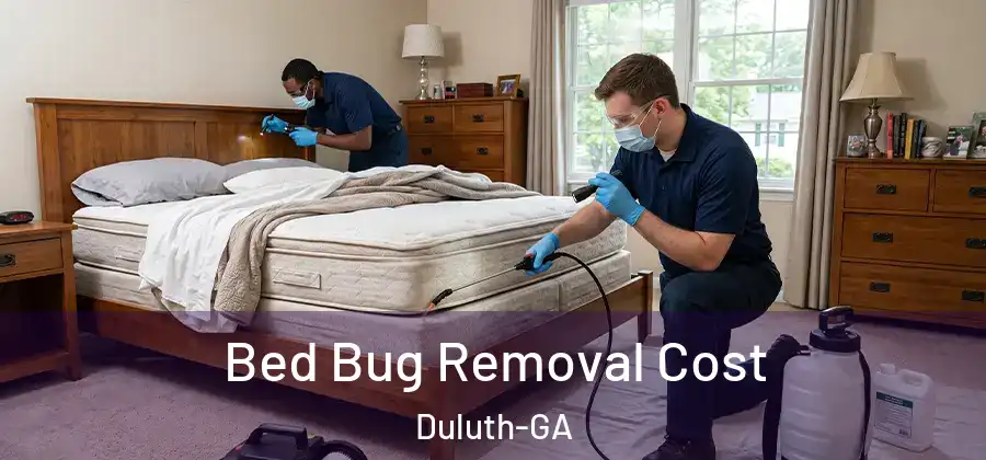  Bed Bug Removal Cost Duluth-GA