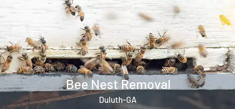  Bee Nest Removal Duluth-GA