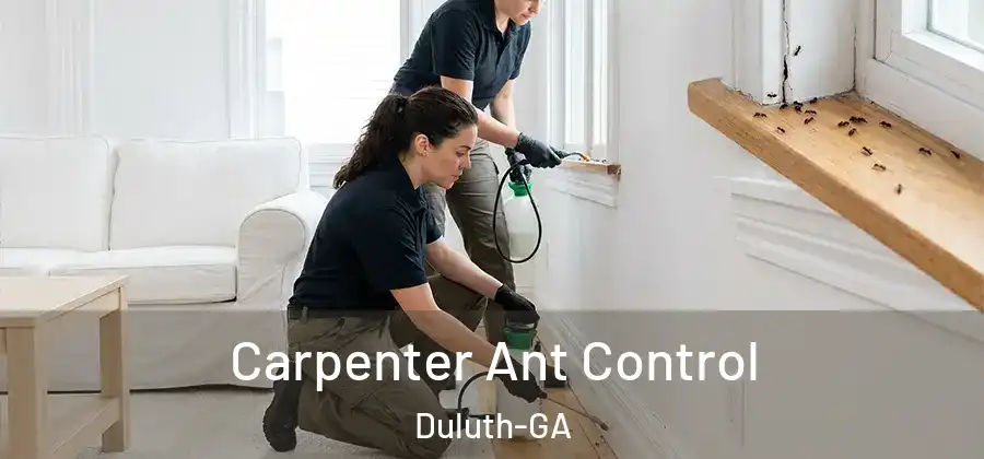 Carpenter Ant Control Duluth-GA