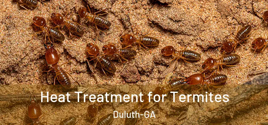 Heat Treatment for Termites Duluth-GA