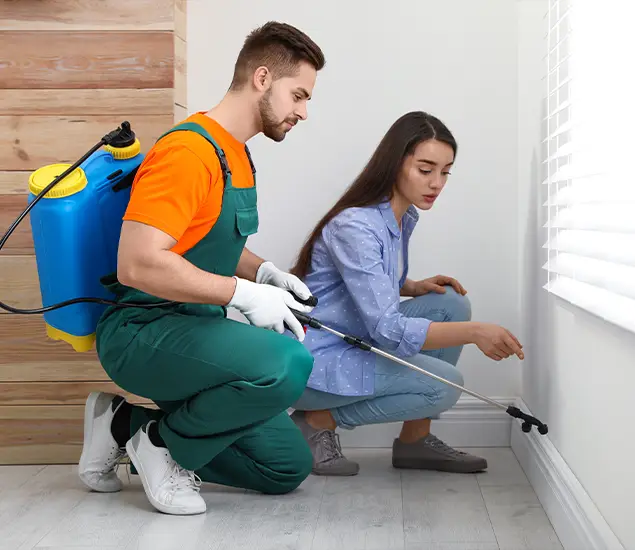 Trusted Affordable Bed Bug Treatment Experts in Duluth, GA