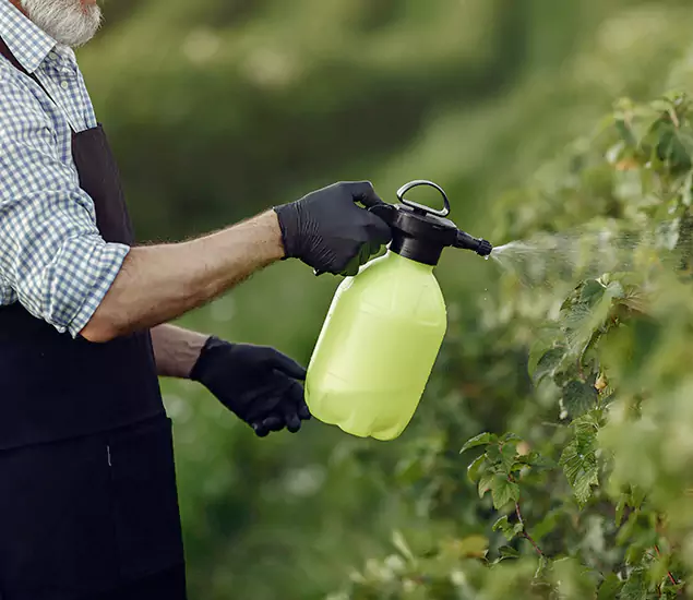 Your Proven Mosquito Treatment Company in Duluth, GA
