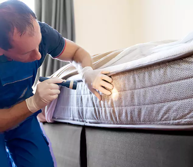 Trusted Bed Bug Cost Experts in Duluth, GA