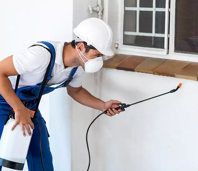Your Professional Cockroach Exterminator in Duluth, GA