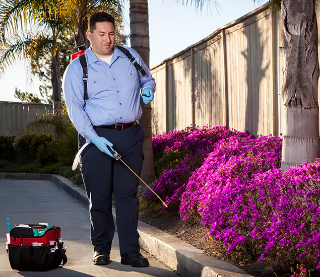 About Our Eco Safe Pest Control Experts in Duluth, GA