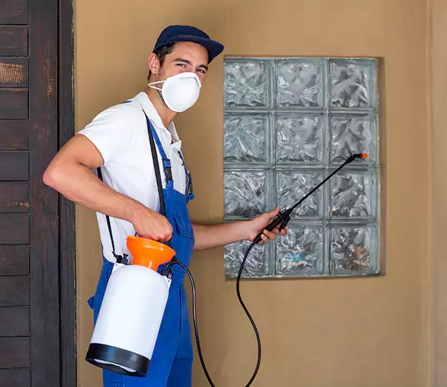 About Heat Treatment for Termites Experts in Duluth, GA
