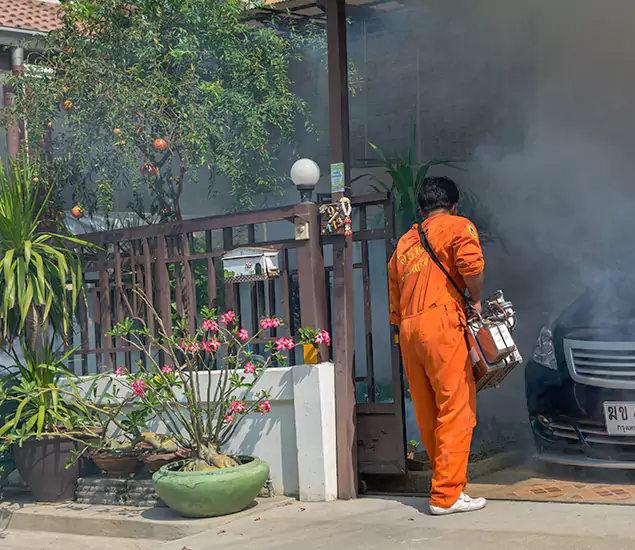 Your Proven Mosquito Fogging Company in Duluth, GA