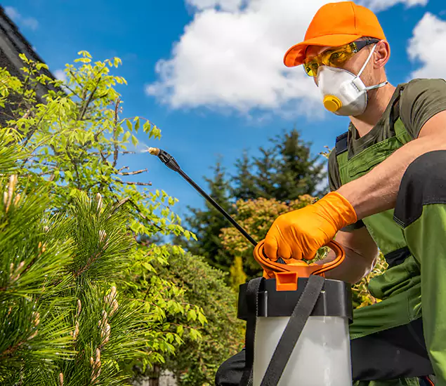 Your Best Bug Spray for Home Team in Duluth, GA