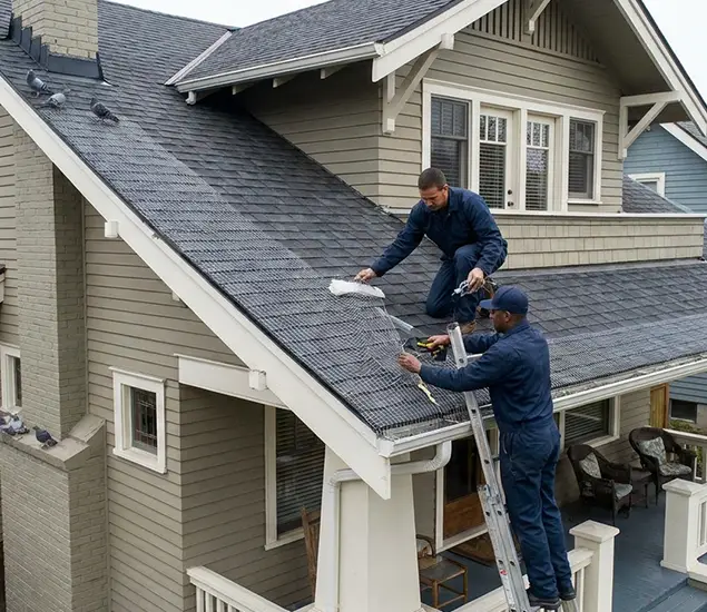 Your Pigeon Control Experts in Duluth, GA