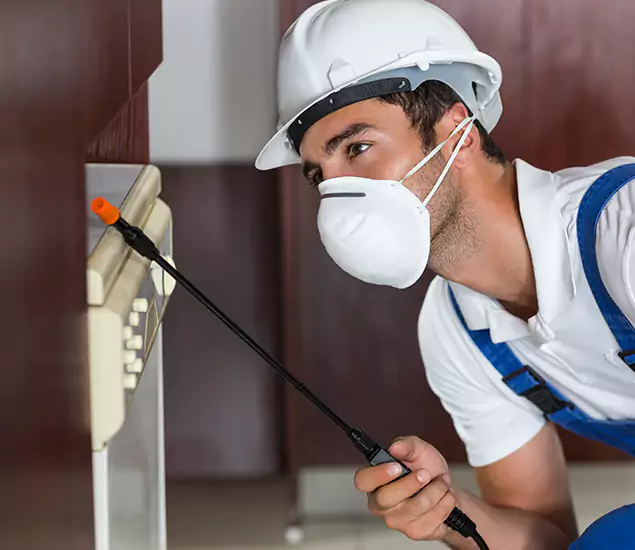 Expert Cockroach Exterminator: Your Roach Control Services in Duluth, GA