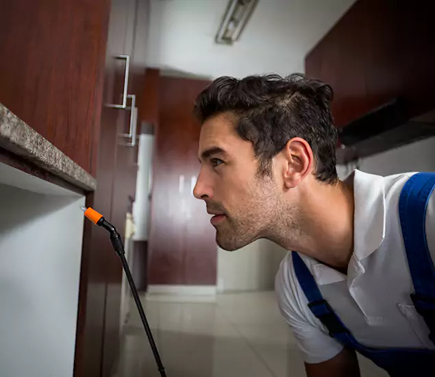 Expert Rodent in Attic Removal: Your Proven Pest Specialists in Duluth, GA