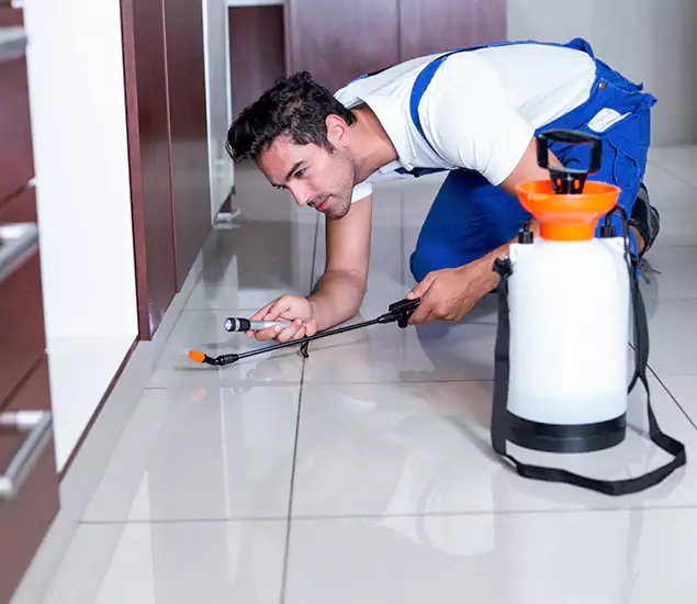 Advanced Slab Termite Treatment Experts You Can Trust&nbsp;in Duluth, GA