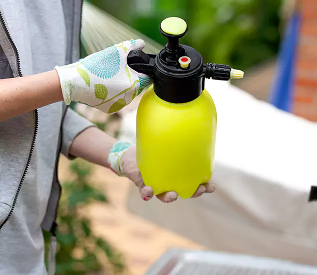 Skilled Residential Small Black Ant Service in Duluth, GA