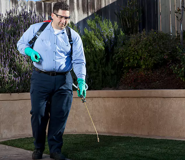 Reliable Termite Barrier Treatment Experts in Duluth, GA