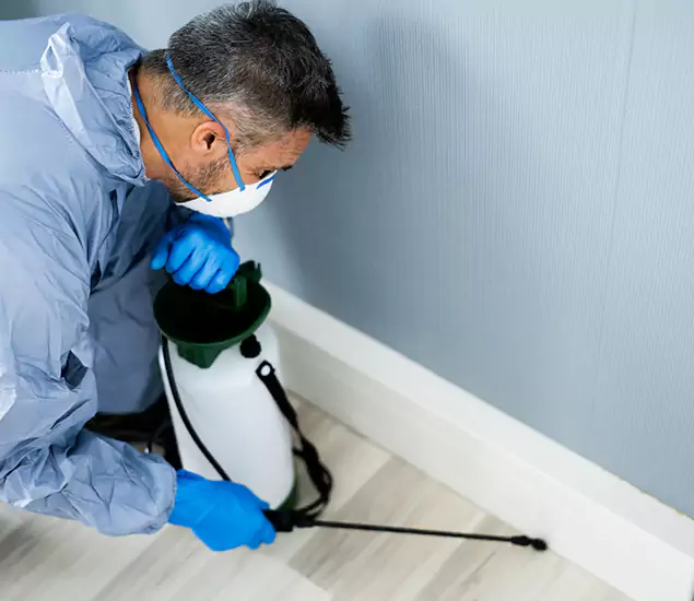 Reliable Termite Cost Experts in Duluth, GA