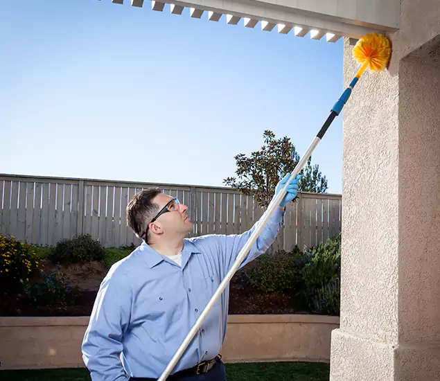 Your Trusted Wasp Removal Company in Duluth, GA