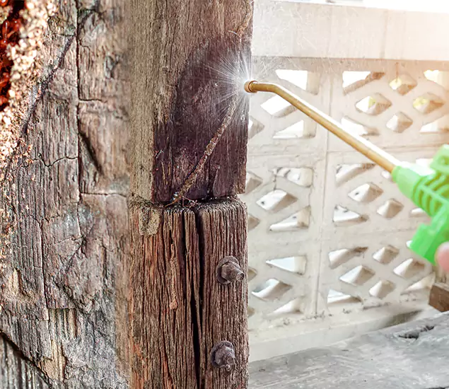 About Wood Termite Treatment Services in Duluth, GA