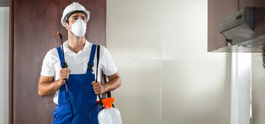 Per Room Bed Bug Cost in Duluth