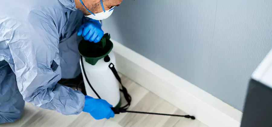 Fumigate Apartment Roaches in Duluth