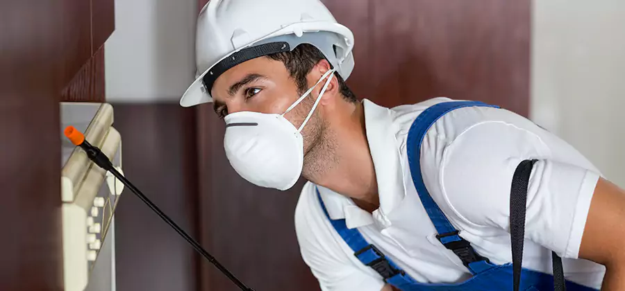 Injection Foam Treatment for Drywood Termites in Duluth
