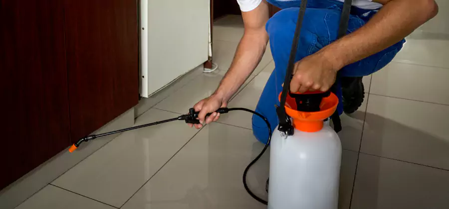 Indoor Mosquito Treatment in Duluth