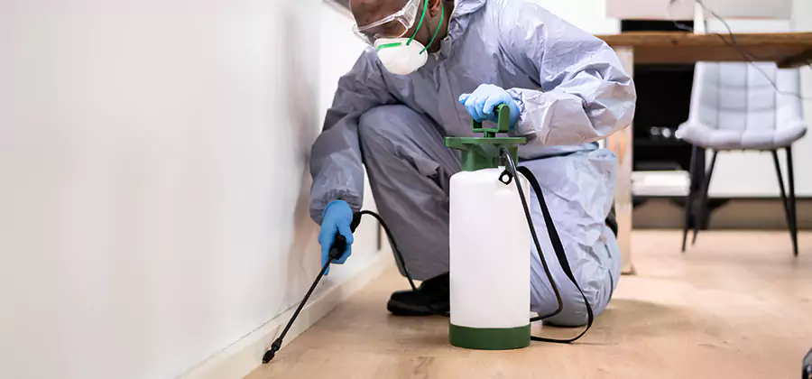 Long Lasting Mosquito Treatment in Duluth