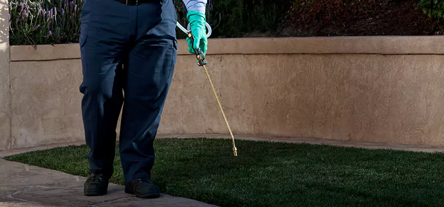 Soil Treatment for New Construction Termites in Duluth
