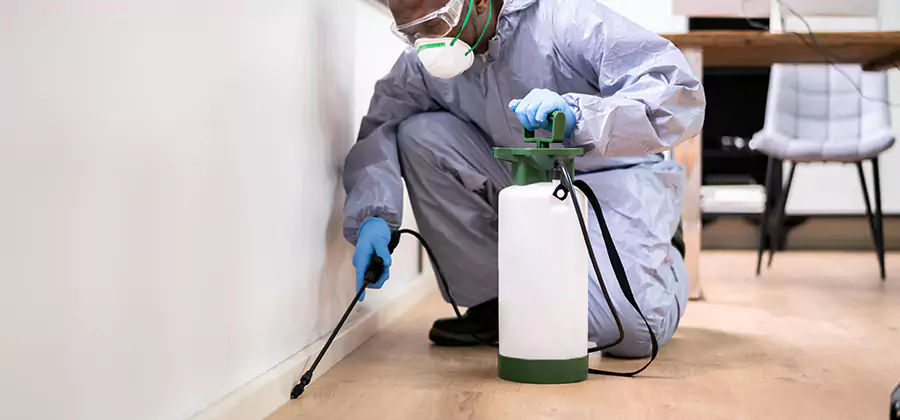 No Tent Termite Extermination With Electric Tool in Duluth