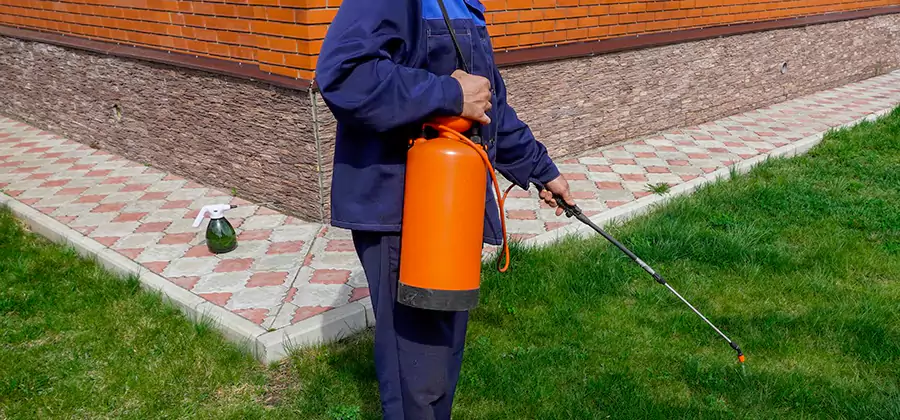 Non Toxic Termite Treatment in Duluth
