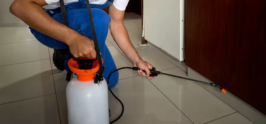 One Time Termite Control in Duluth
