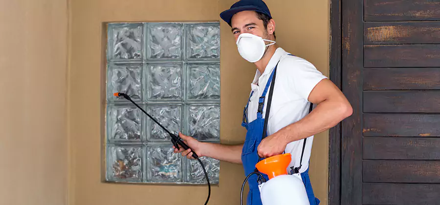 Physical Termite Barrier Installation in Duluth