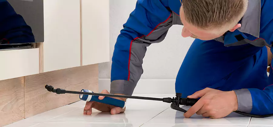Moisture Treatment For Termite Control Service in Duluth