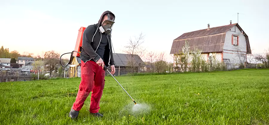 Flea and Tick Pest Control in Duluth
