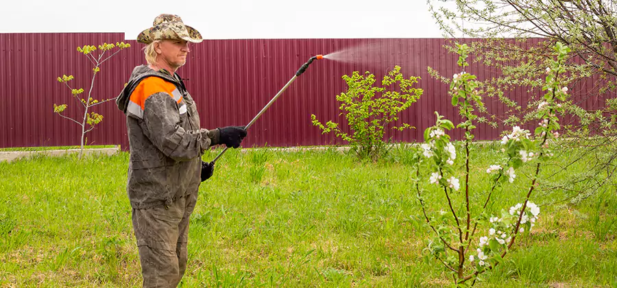 Flea and Tick Spray for Yard in Duluth