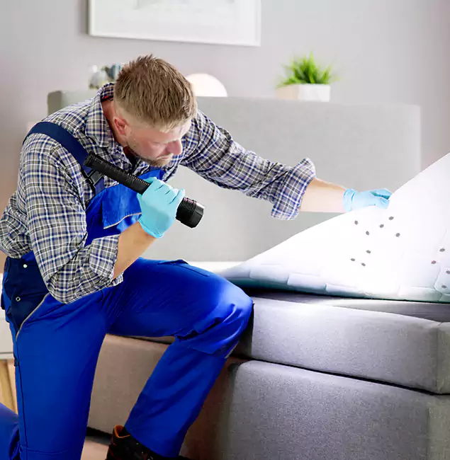 Why Choose Duluth Quality Pest Control For Bed Bug Heat Treatment in Duluth, GA?