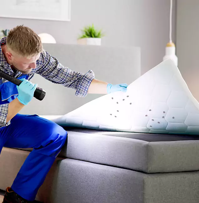 Why Choose Duluth Quality Pest Control in Duluth, GA?