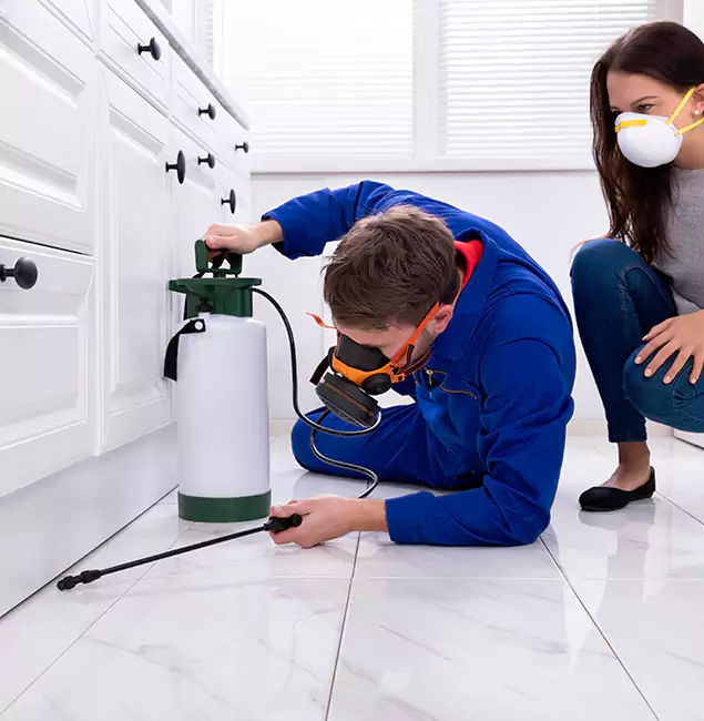 Why Choose Duluth Quality Pest Control in Duluth, GA?