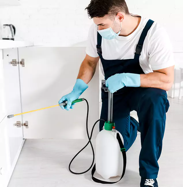 Why Duluth, GA Homeowners Trust Us for German Roach Control?