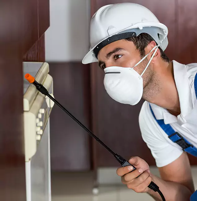 Why Duluth Homeowners Rely on Duluth Quality Pest Control for Tick Treatment?