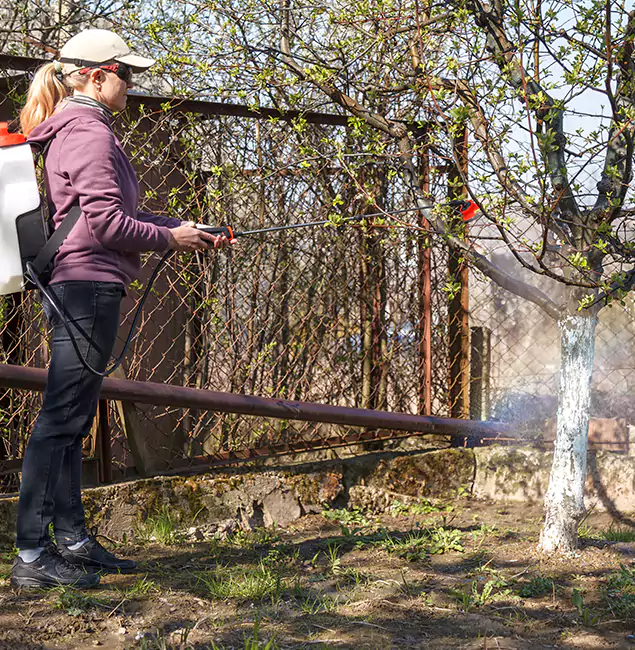 Why Duluth Homeowners Choose Duluth Quality Pest Control for Mosquito Abatement?