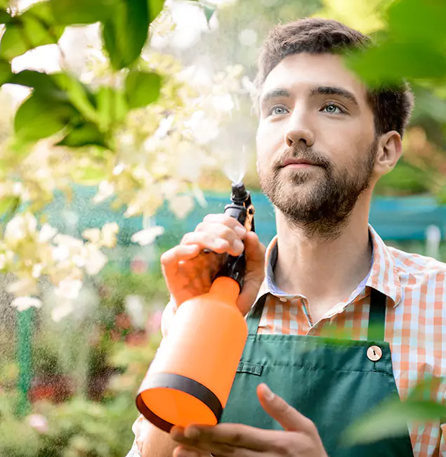 Why Duluth Quality Pest Control Is the Best Mosquito Control Company in Duluth, GA?