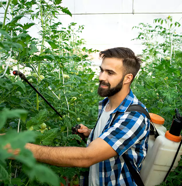 Why Duluth Homeowners Choose Duluth Quality Pest Control for Mosquito Spraying?