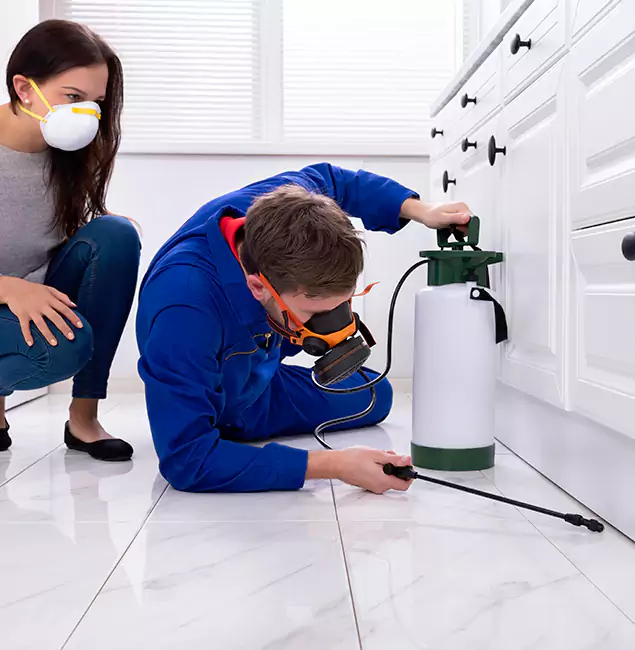 Why Choose Duluth Quality Pest Control in Duluth, GA?