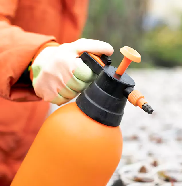 Why Choose Duluth Quality Pest Control for Orange Termite Treatment in Duluth, GA?