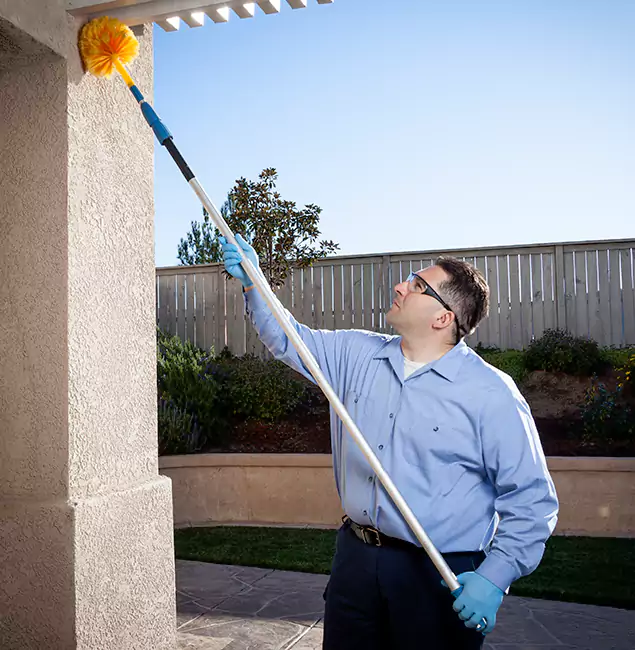 Why Choose Duluth Quality Pest Control for Pest Control Services in Duluth, GA?